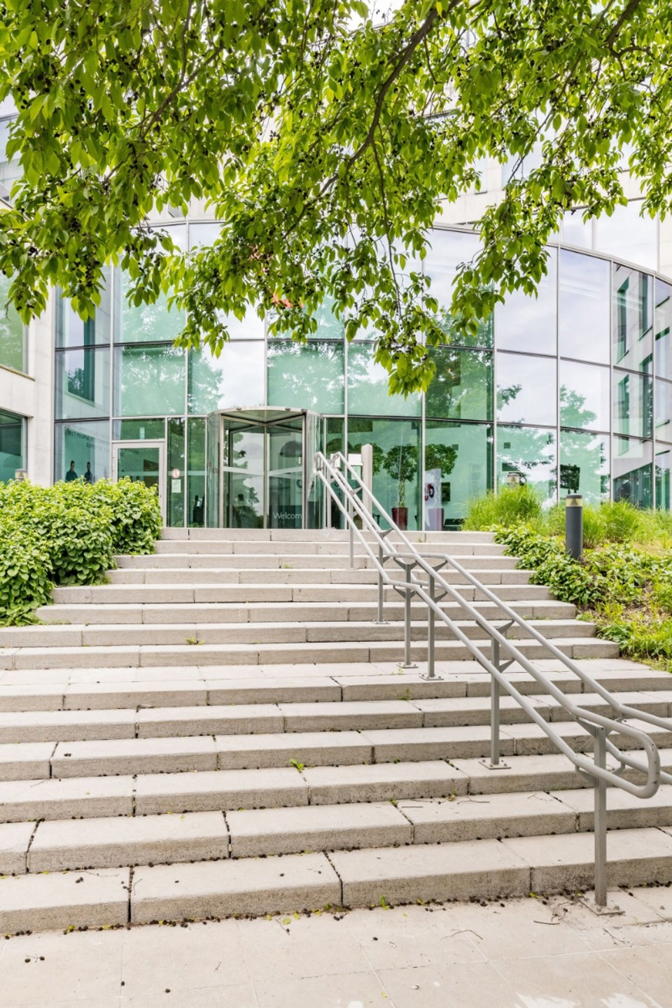 Commercial for rent in Vilvoorde - photo 2