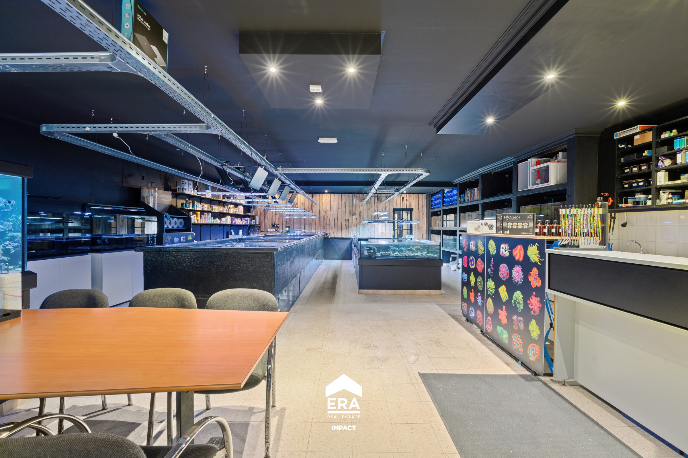 Polyvalente ruimte/handelspand in hartje Neerglabbeek - foto 3