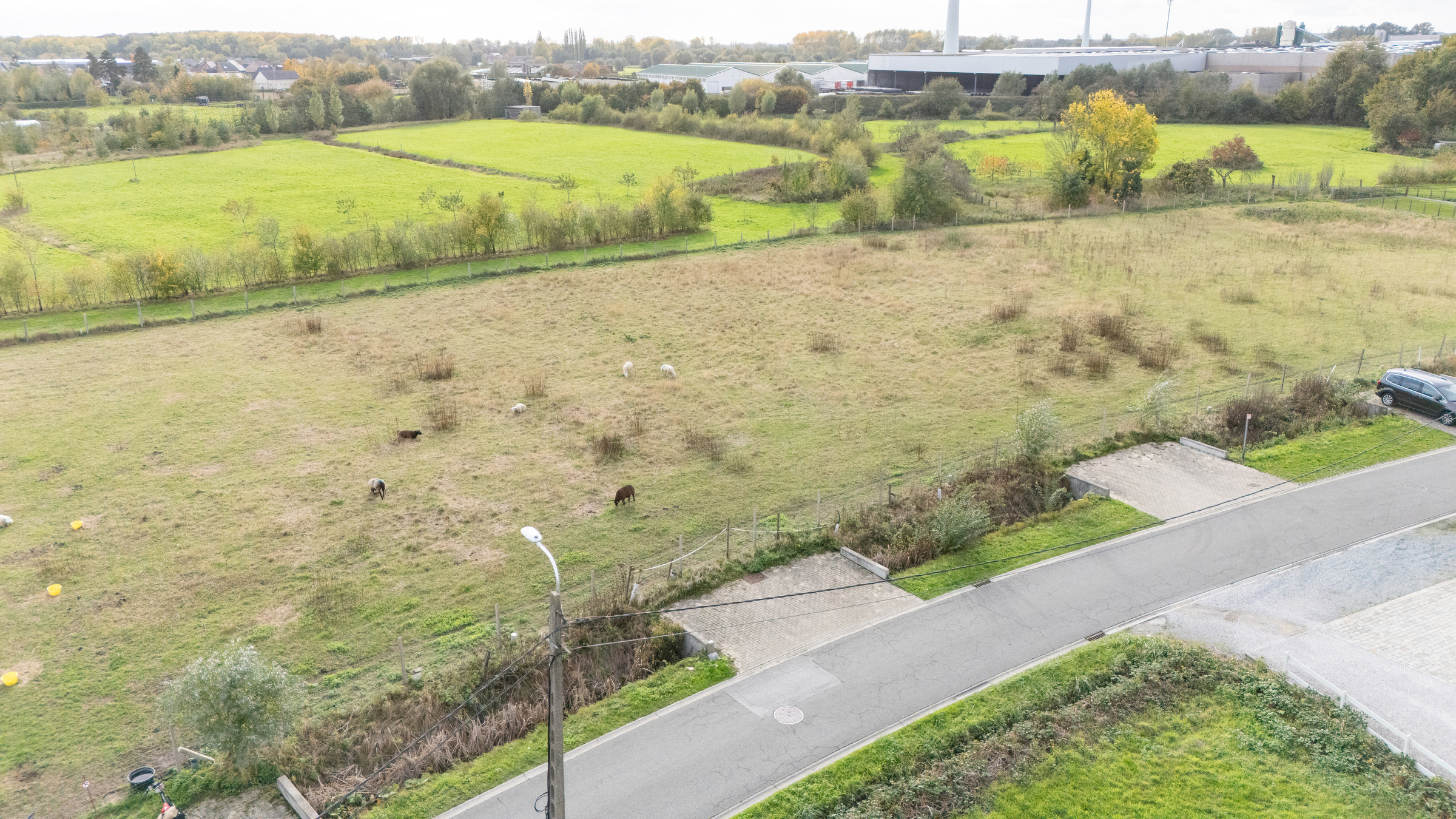 Bouwgrond te koop in Dendermonde - foto 4