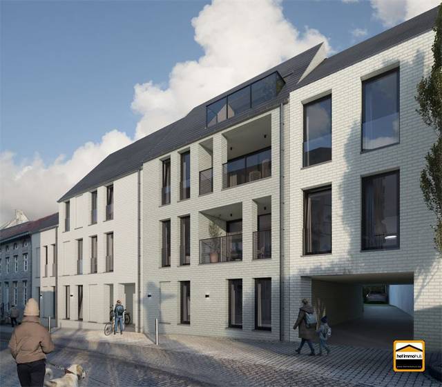 Project te koop in Borgloon
