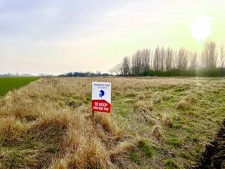 4 aanpalende percelen landbouwgrond (bouwland) op uitstekende ligging. De percelen zijn gemakkelijk bereikbaar. - LOT 1: 0078P0000: 2210 m²- LOT 2:...