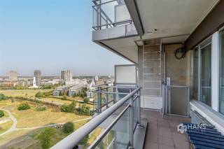 <p><span>Studio (43 m²) met west-georiënteerd terras (11 m²) in Antwerpen (2018).</span></p><p><span> </span></p><p><span>In deze lichtrijke studio woon je aan de rand van de stad met een prachtig, open zicht op de Konijnenwei en het Vlinderpaleis. De ligging is ideaal voor wie zich vlot wil verplaatsen met de auto, de fiets of het openbaar vervoer. Het bruisende Zuid, de Scheldekaaien en de gezellige Markgravebuurt bevinden zich allemaal op korte afstand.</span></p><p><span> </span></p><p><span>Het studio-appartement situeert zich op de zeventiende verdieping, wat garant staat voor een uniek en panoramisch uitzicht over de stad en de omgeving. Het ruime, west-georiënteerde terras van maar liefst 11 m² vormt een absolute troef: hier geniet je in alle rust van de avondzon en het weidse uitzicht.</span></p><p><span> </span></p><p><span>Via de aparte inkomhal kom je binnen in de studio. De lichtrijke leefruimte met slaaphoek (22 m²) biedt voldoende plaats om een gezellige woon- en slaapzone te creëren. Aansluitend bevindt zich de aparte keuken (5 m²), voorzien van de nodige basisuitrusting. De badkamer (4 m²) is uitgerust met een ligbad/douche, lavabomeubel en toilet.</span></p><p><span> </span></p><p><span>Tot slot beschikt de studio over een privatieve kelderberging en staat er een gemeenschappelijke fietsenstalling ter beschikking.</span></p><p><span> </span></p><p><span>Compact wonen, maar groots genieten van het uitzicht? Deze studio op de zeventiende verdieping combineert een uitstekende ligging met een terras waar je elke avond opnieuw van de zonsondergang geniet.</span></p><p><span> </span></p><p><span>Bewoonbare opp 43 m² – ref.: bruto vloeropp. Voor meer info of een gratis schatting surf naar </span><span><span>www.hansimmo.be</span></span></p><p><span> </span></p>