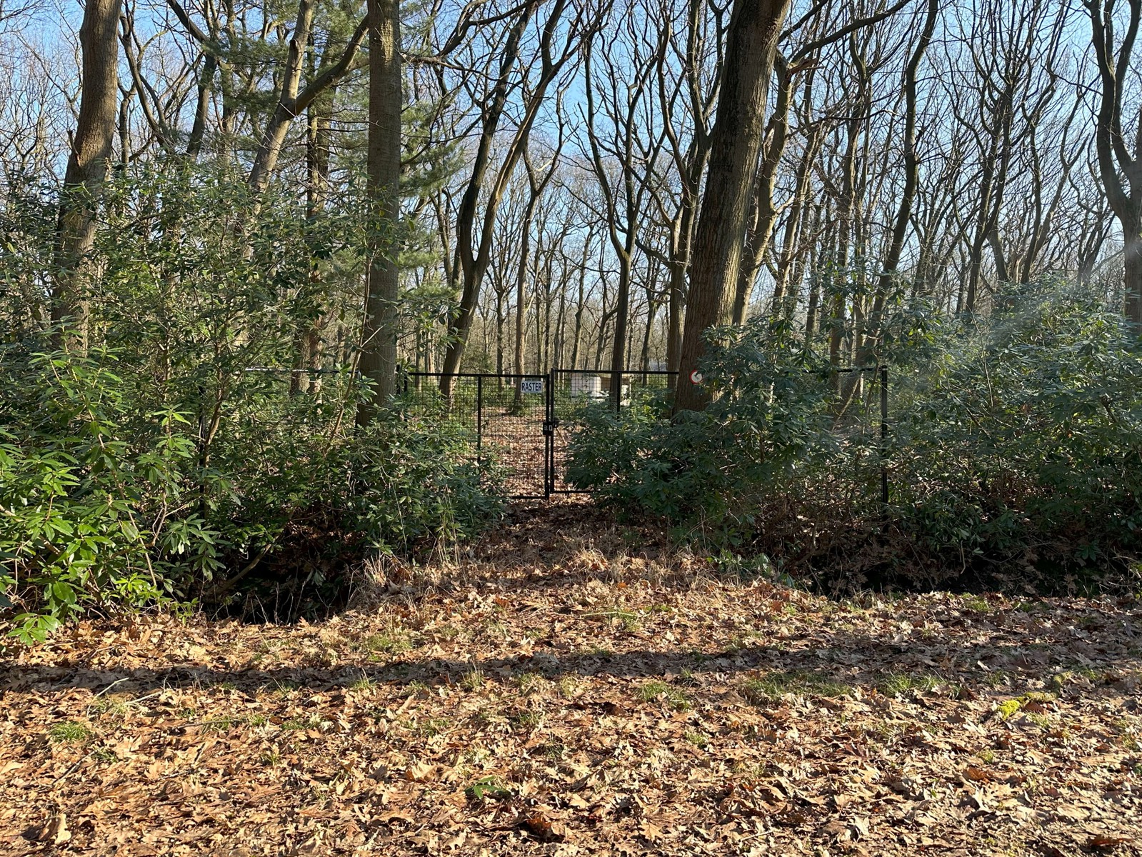 Terrain à vendre à Brasschaat - photo 5