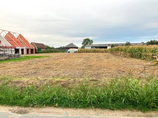 Project for sale in Wingene