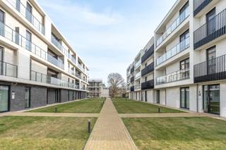 <p><strong><br />Geniet nu nog van 6 % BTW ipv 21 % BTW! (maatregel is verlengd)<br /><br />Domein Neerhof </strong>is zeer gunstig gelegen in het binnengebied tussen de Neerstraat en Steenweg op Mol. Gesitueerd in een <strong>rustige en</strong> <strong>aangename parkomgeving</strong> maar in de directe nabijheid van het <strong>centrum van Oud-Turnhout</strong> met winkels, horeca en openbaar vervoer op wandelafstand en met een vlotte bereikbaarheid naar de <strong>autostrade E34 Antwerpen-Eindhoven</strong>.</p>
<br />Het geheel bestaat uit verschillende aparte blokjes van <strong>kwalitatieve &amp; ruime appartementen</strong> met <strong>grote zonnige terrassen </strong>en enkele aangename <strong>nieuwbouwwoningen</strong>.<br /><br />Deze luxueuze woningen worden allen <strong>super zuinig gebouwd met E peil 20</strong> waardoor men de eerste 5 jaar geen onroerende voorheffing moet betalen. Dit strenge E peil wordt behaald door gebruik te maken van de nieuwste technieken zoals <strong>geothermische warmtepompen ,</strong> <strong>vloerverwarming in combinatie met vloerkoeling, ventilatiesysteem, zonnepanelen enz.</strong> Uw maandelijkse verbruik wordt hierdoor tot het min. herleid.<br /><br />Zij worden <strong>zeer degelijk gebouwd </strong>met ruime budgetten voor de verschillende stelposten zoals sanitair, keuken en vloeren.<br /><strong>Oppervlaktes</strong> tussen <strong>92 en 140 m²</strong> <strong>en terrassen van 10 m² tem 52 m².</strong><br /><br /><strong>App B15 </strong> bestaat uit een inkomhal, gastentoilet, ruime en lichte leefruimte met open keuken en berging, 2 slaapkamers met badkamer en tof terras van 27 m² volledig rondom het appartement<br /><br />Voor het gemak van de bewoners werd een <strong>grote ondergrondse parking met fietslift</strong> voorzien alsook een eigen huisvuilsysteem.<br /><br />Bezoek het <strong>modelappartement</strong> op afspraak om een indruk te krijgen van deze bijzonder goed gelegen en afgewerkte appartementen.<br /><br />Contacteer ons via <strong>info@dilegno.immo of 014/70 73 23 </strong>of spring binnen op ons kantoor in Oud-Turnhout, gelegen aan het project zelf.