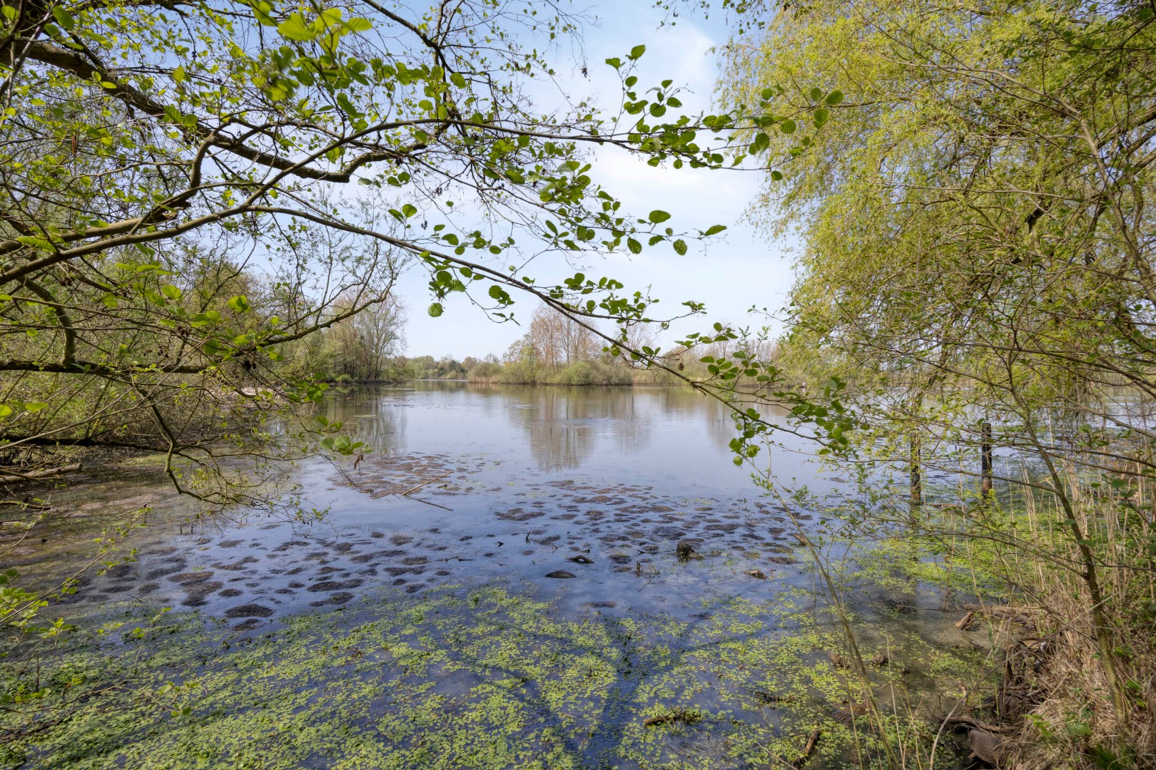 Prachtig perceel met vijvers op unieke ligging in Geel - foto 5