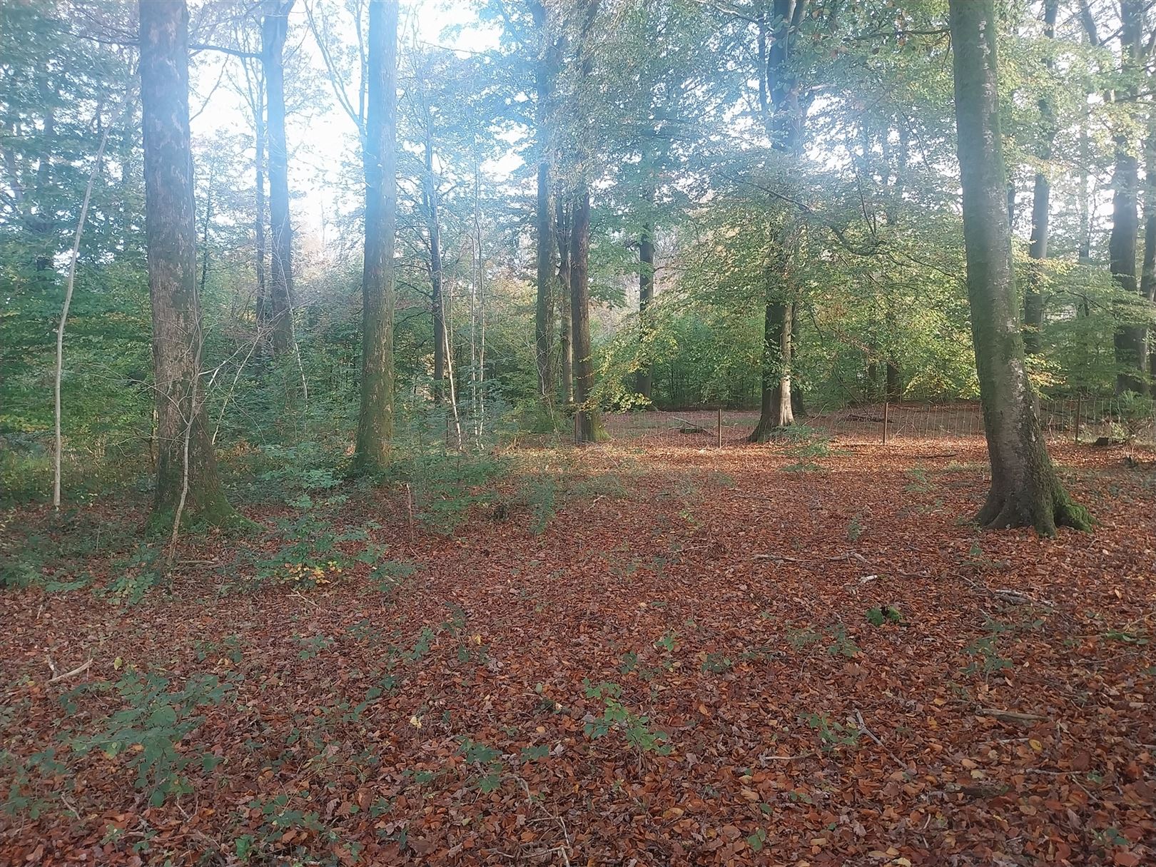 Terrain à vendre à Cul-Des-Sarts - photo 4