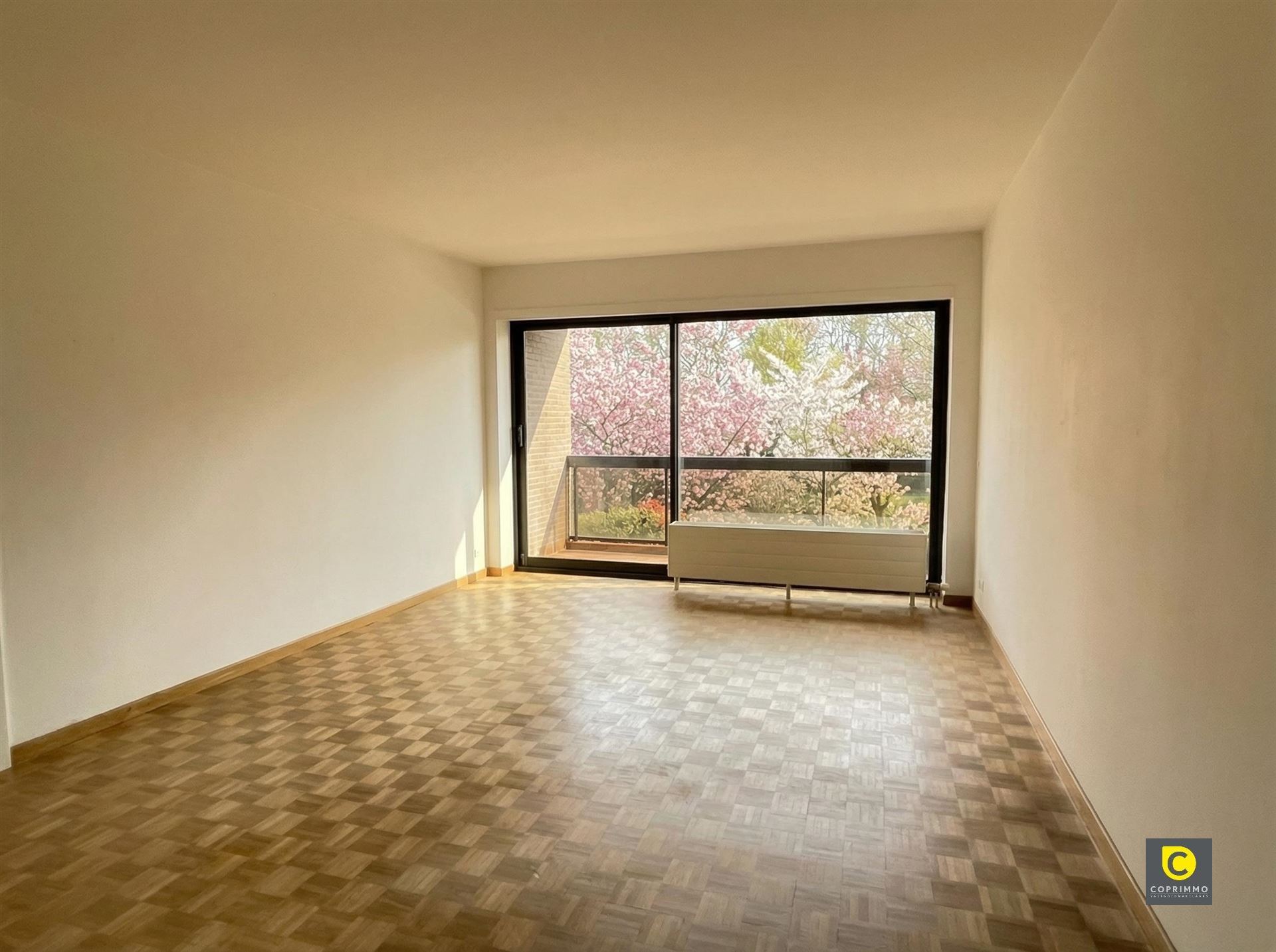 Appartement - photo 3