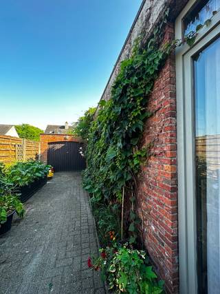 Op te frissen te renoveren charmante woning met 3 slaapkamers en 1 badkamer, gelegen op een perceel van 423m². Beneden is er een leefruimte met plaats voor zowel een zithoek als een eetplaats en vooraan een woonkamer / extra slaapkamer . Met een bewoonbare oppervlakte van 178m² biedt deze woning uitstekende ruimte voor het hele gezin. De woning, gebouwd in 1987, heeft een EPC-label D.