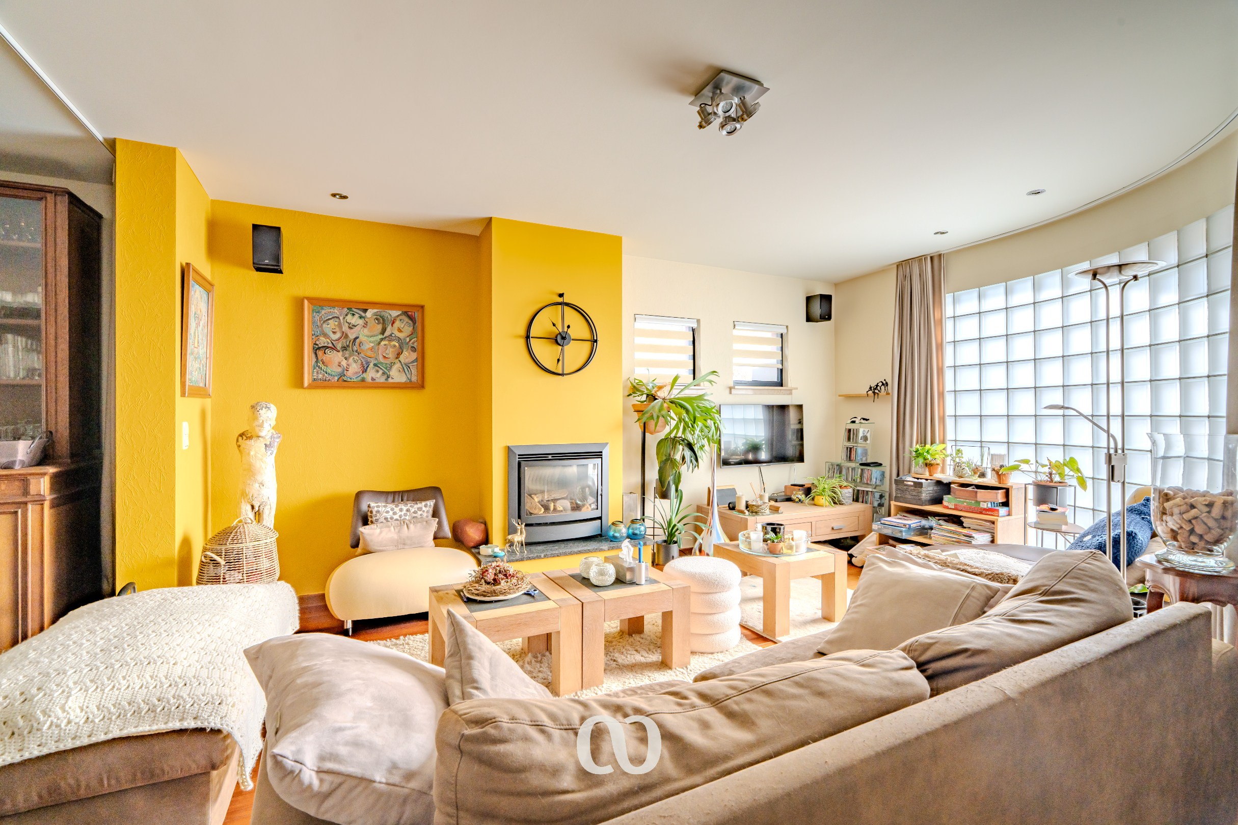 Instapklare woning met zonnepanelen, prachtige tuin en garage - foto 3