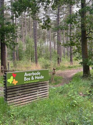 NIEUWE VOORWAARDEN !!Zichem - Degelijke, goed onderhouden maar te renoveren woning op 47a.Achterin gelegen met rondomrond zeer ruime tuin en/of...