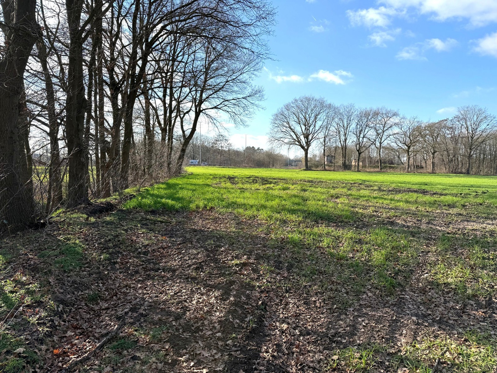 Perceel grond van 7.067 m². - foto 5