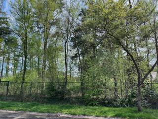 Terrain à vendre à Rijkevorsel