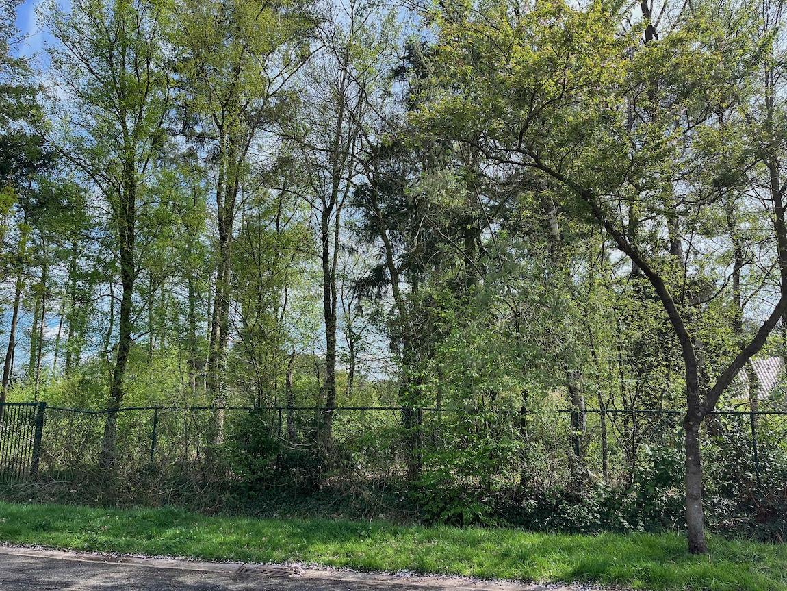 Terrain à vendre à Rijkevorsel - photo 2