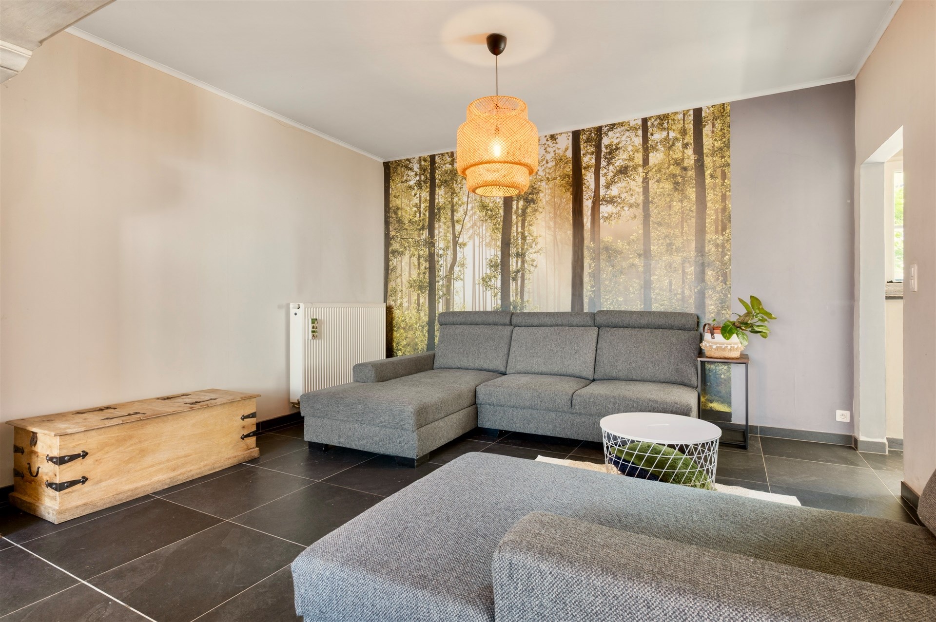 Ruime woning met multifunctioneel bijgebouw en grote tuin - foto 5