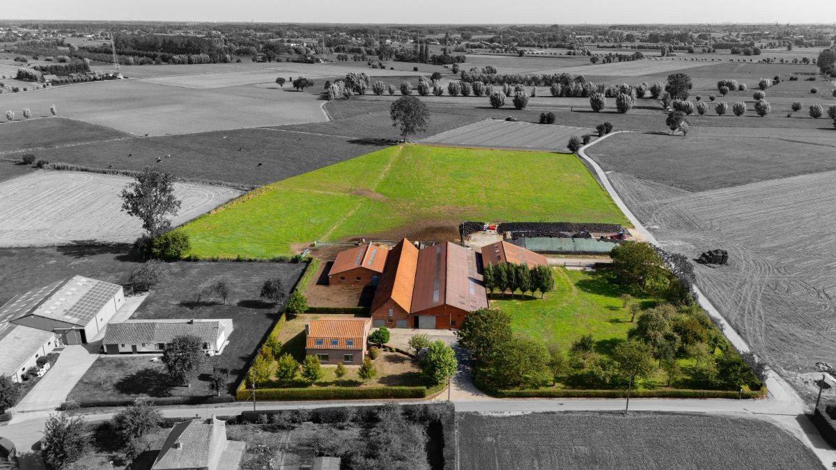 Hoeve te koop te Aalter (Bellem) op 2,94 ha met zeer mooie liggingMomenteel nog actief melkveebedrijf met vergunning voor 145 runderen.
