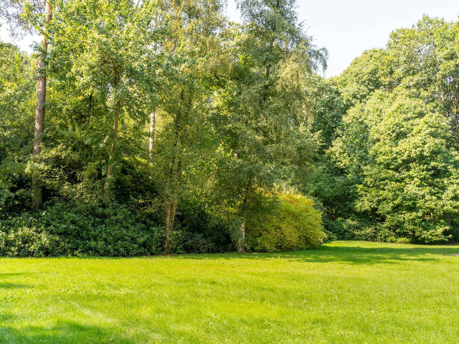 Waals-Brabant I Waver - foto 3