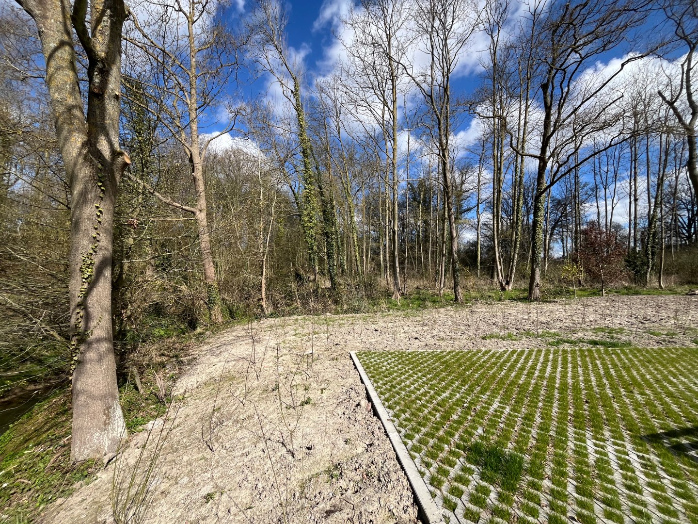 Gelijkvloerse woongelegenheid in hartje Dikkelvenne - foto 5