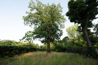 Land for sale in Malle