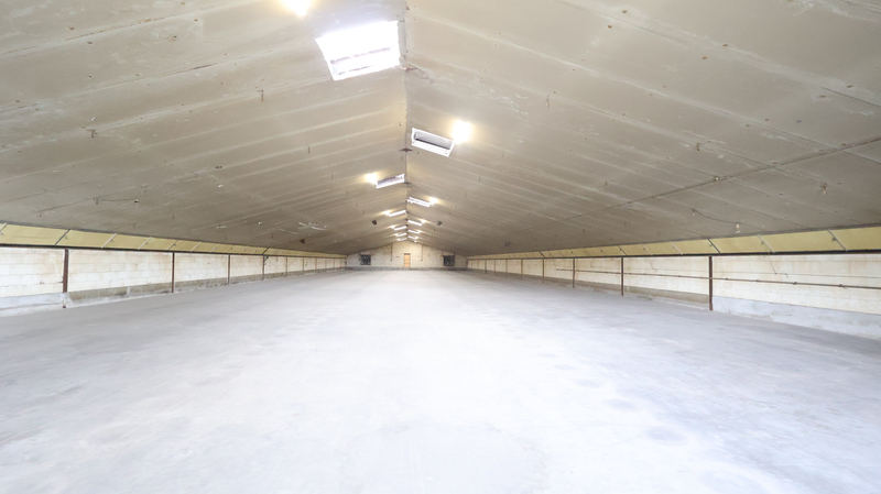 Ruime loods van 1.150 m² te huur in Lichtervelde! - foto 2