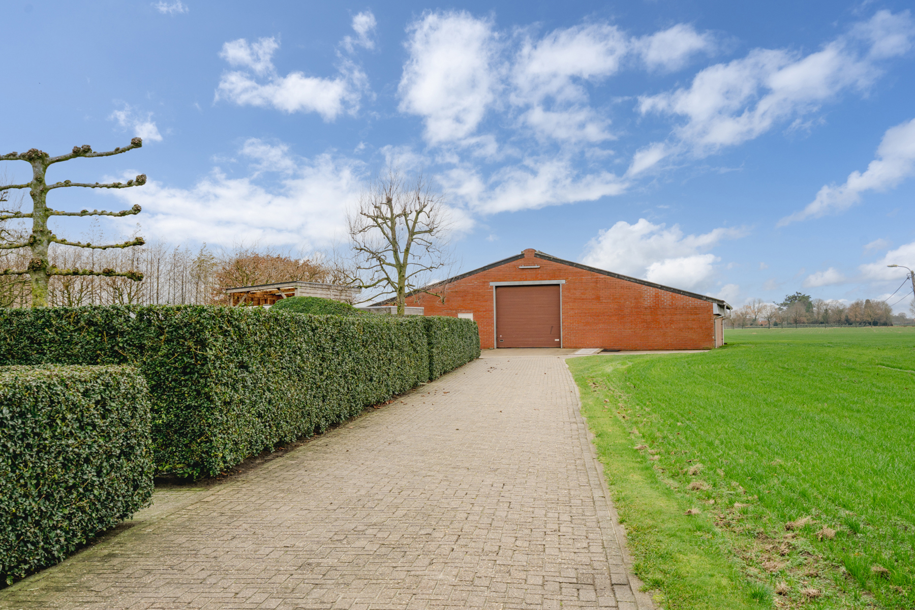 MAGAZIJN VOOR OPSLAG - foto 1