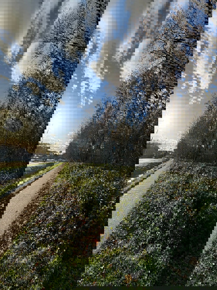 Exclusief perceel bouwgrond van ca. 3.998m² aan de Kapellei - foto 2