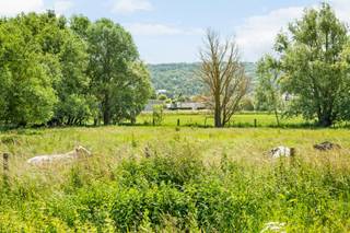 <p>Deze charmante fermette is prachtig gelegen genietend van rust, groen en privacy. <br /><br />Rustig gelegen in een doodlopende straat vindt u deze zeer goed onderhouden woning, waar comfort en licht centraal staan. Bij het binnenkomen komt u in de inkomhal met apart toilet, die leidt naar een ruime en lichtrijke leefruimte met gezellige eet- en zithoek, afgewerkt met een sfeervolle open haard. De ingerichte keuken met eiland sluit hier naadloos op aan en biedt samen met de praktische bijkeuken/wasplaats alle hedendaags comfort. Op het gelijkvloers bevinden zich bovendien een slaapkamer, bureau, dressing en een verzorgde badkamer met toilet, inloopdouche en lavabo.<br /><br />Op de verdieping geeft de ruime nachthal toegang tot twee volwaardige slaapkamers met ingemaakte kasten en een bijkomende douchekamer. Daarnaast is er ook een zolder aanwezig, die extra bergruimte biedt. De woning beschikt eveneens over een ruime garage.<br /><br />Buiten geniet u van een prachtig aangelegde, rustgevende tuin met meerdere terrassen en een vijver, ideaal om in alle privacy te ontspannen. Extra troeven zijn de zonneboiler en zonnepanelen, die bijdragen aan een energiezuinig geheel. Een instapklare woning op een bijzonder rustige ligging.<br /><br />Meer info of plan je bezoek: wim@immobeguin.be<br />Te koop via Immo Beguin, uw vastgoedexpert sinds 2009, met kantoren in Ronse, Waregem, Kortrijk, Deinze, Doornik en Lessen.</p>