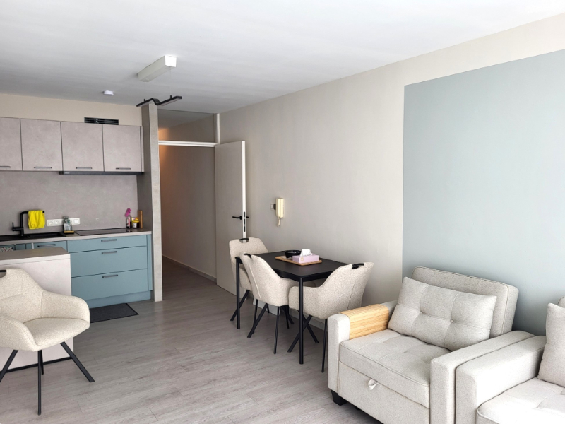 Studio entièrement rénové avec coin nuit à vendre - photo 3