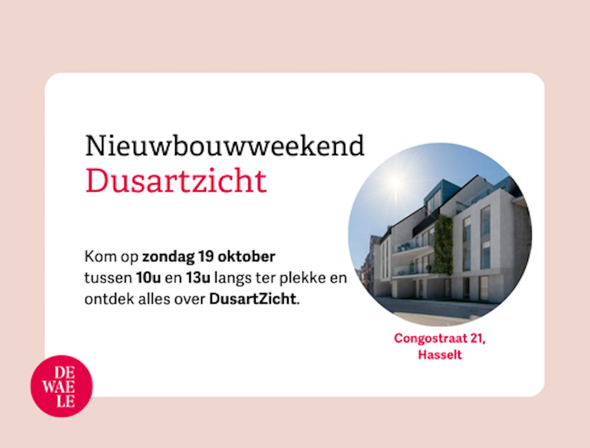 DuSart Sight - photo 5