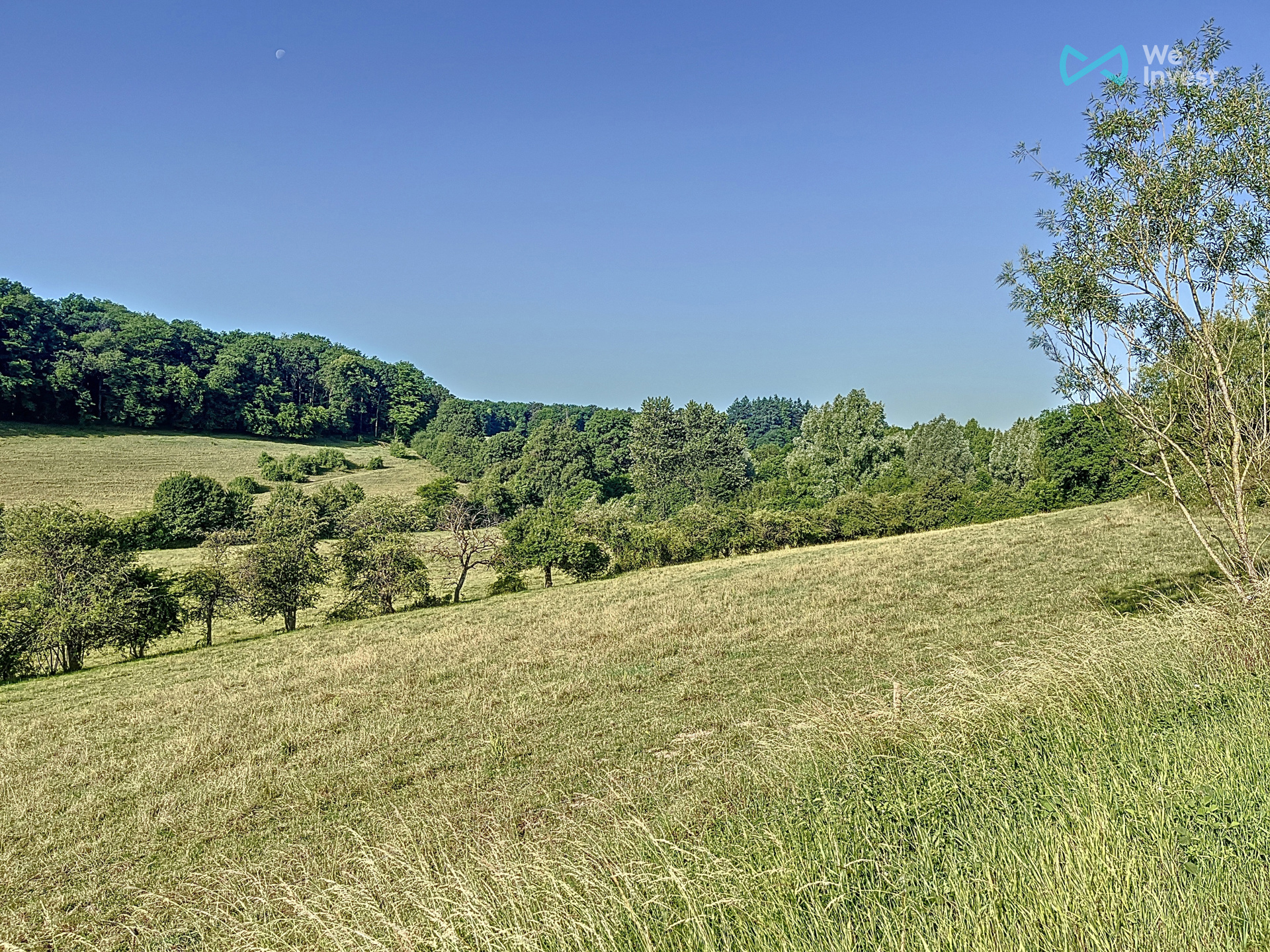 Grond te koop in Chimay - foto 2