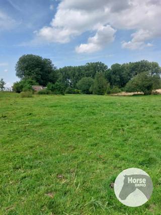 TONGEREN - Weide op +/- 1,5 ha<br /><br />Deze weide is zeer rustig gelegen, in een doodlopende straat in Tongeren (Sluizen).<br />Er staat een schuilstal op van +/- 3x7 m en het geheel ligt dichtbij het natuurgebied "De Kevie" met veel wandelmogelijkheden.<br /><br />Het laagst gelegen deel van het weiland is een soort poel, waardoor de paarden steeds water hebben.<br /><br />Bij interesse in dit weiland, aarzel niet ons te contacteren op 053/60.65.66.