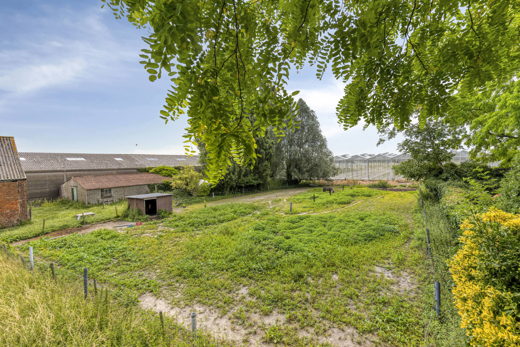Bebouwbaar perceel voor open of halfopen bebouwing van 1.982m²!!!!! - foto 2