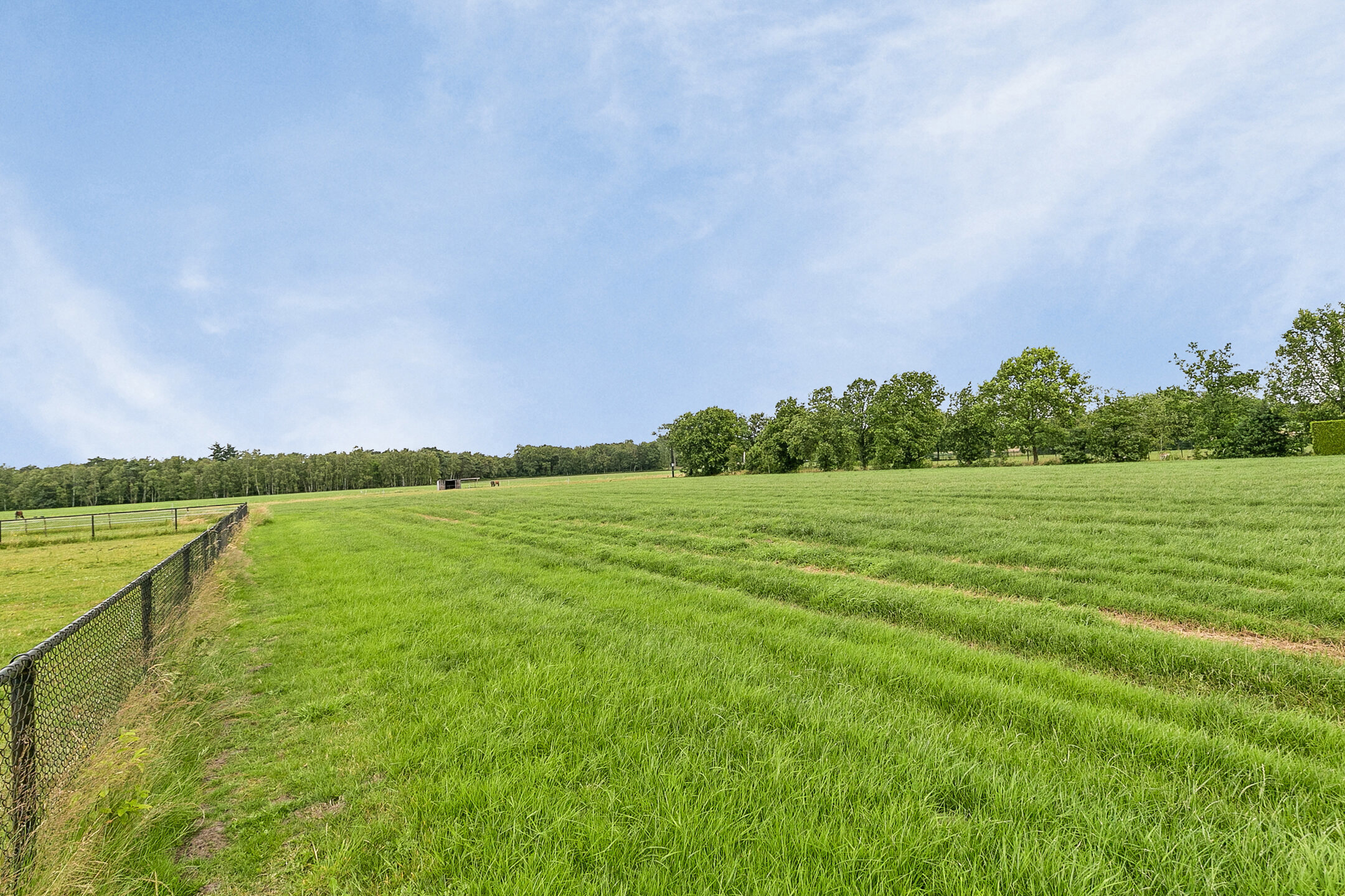 Huis te koop in Hoogstraten met 4 slaapkamers - foto 3