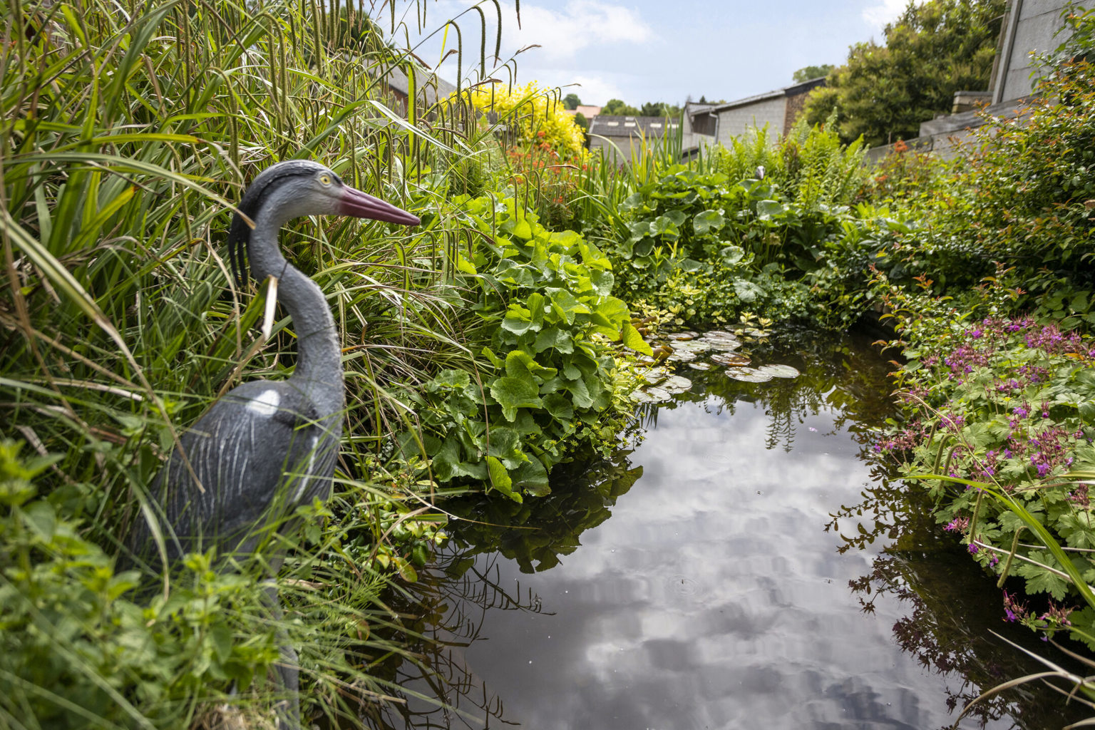 MOOIE WONING MET TUIN IN EEN RUSTIGE WIJK IN NEERVELP.   - foto 4