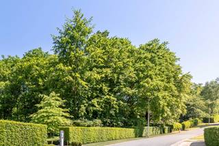 Deze prachtig gelegen bouwgrond, gelegen in een doodlopende straat, heeft een oppervlakte van 20are. Dit perceel met een breedte van maar liefst...