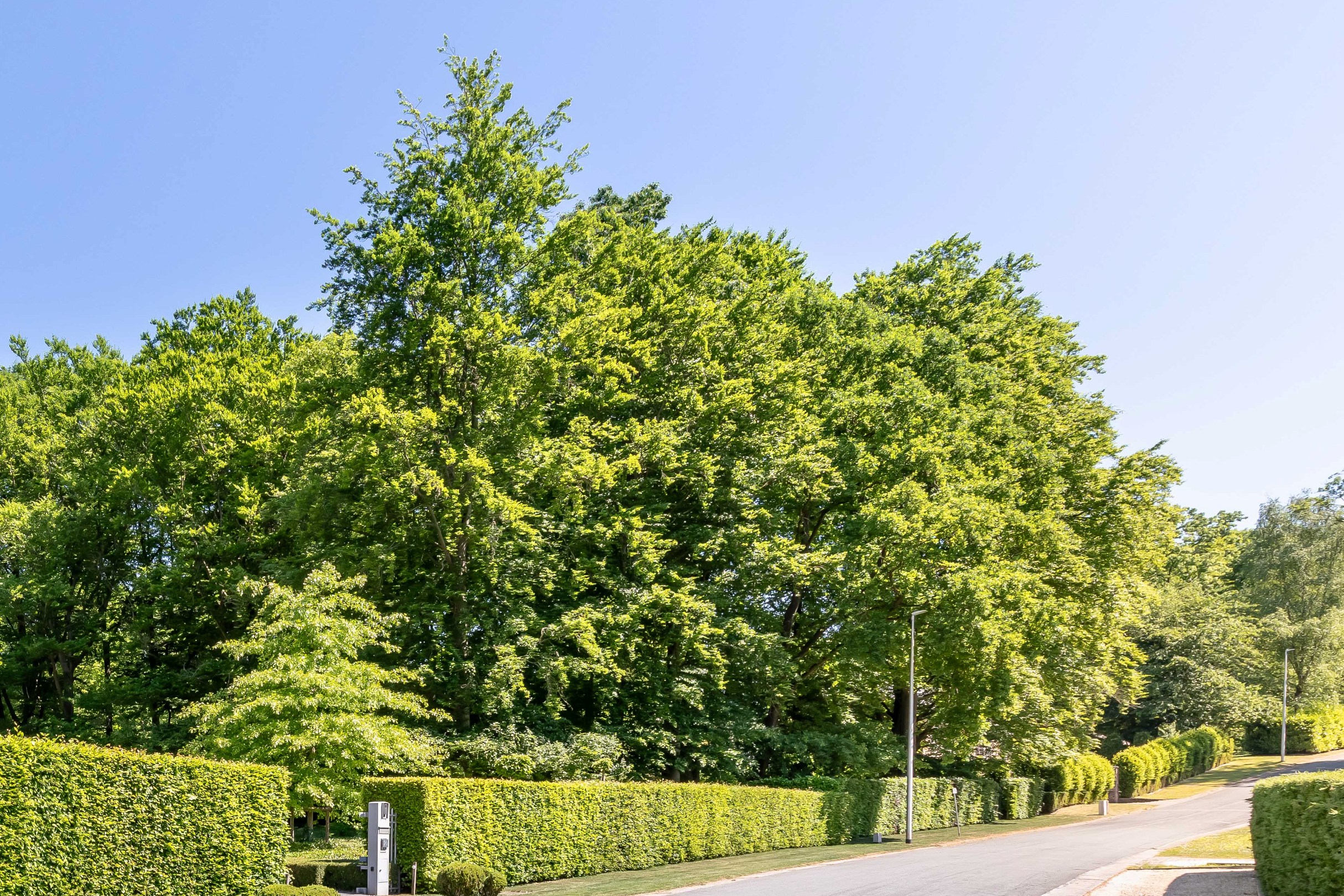 Prachtig perceel op unieke locatie! - foto 1