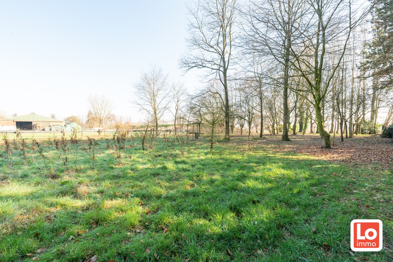 Projectgrond en/of totaalrenovatie op een rustige en landelijke ligging tussen Beervelde en Destelbergen! - foto 5