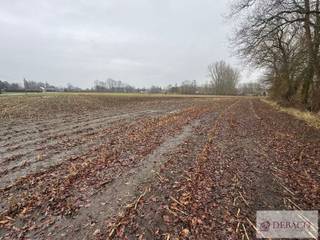 Goed gelegen landbouwgrond met opp van 12.630m² te Putte!Deze landbouwgrond is vrij van pacht!De landbouwgrond is makkelijk te bereiken en is gelegen...