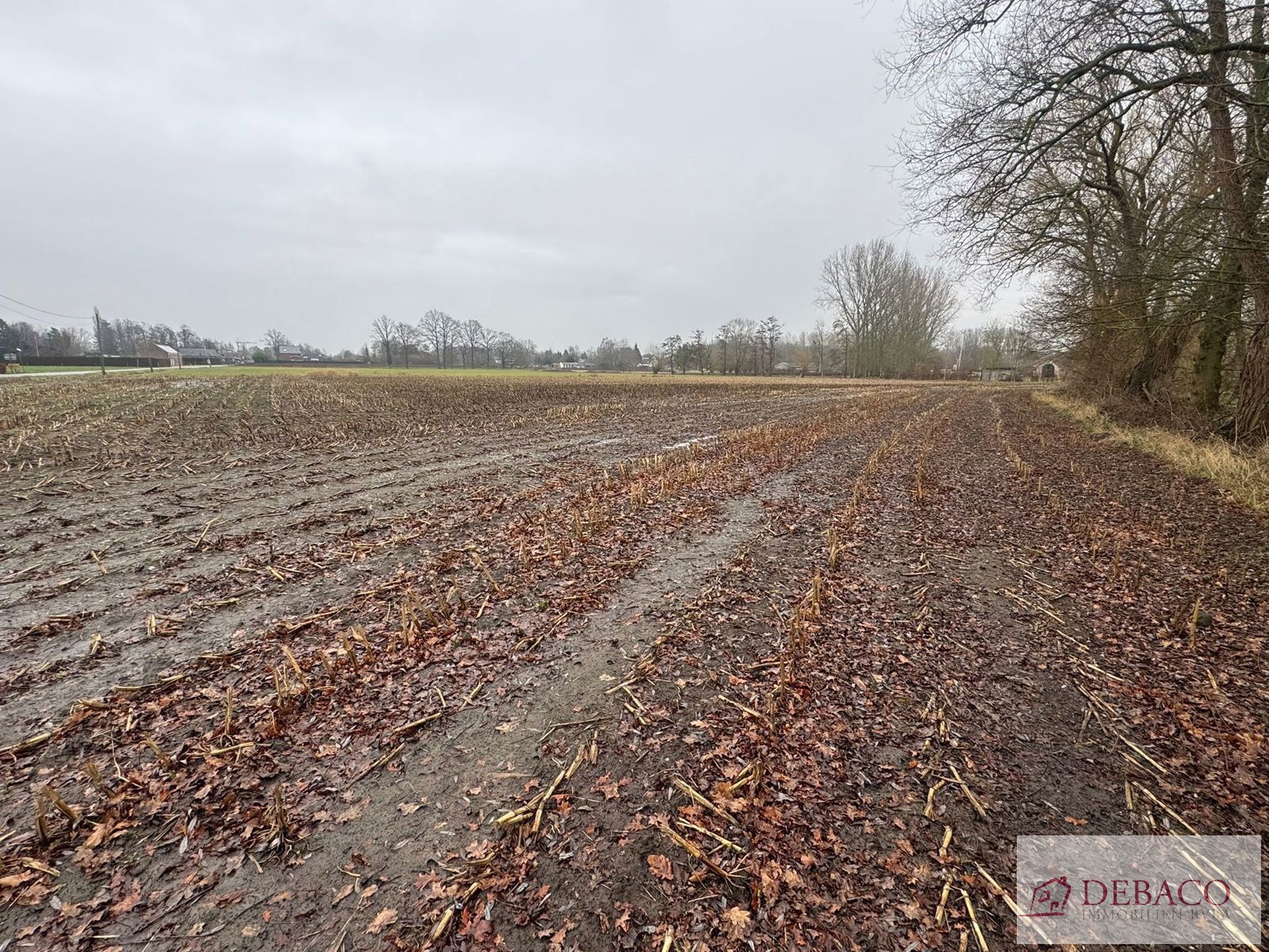 Goed gelegen landbouwgrond met opp van 12.630m² te Putte! - foto 3