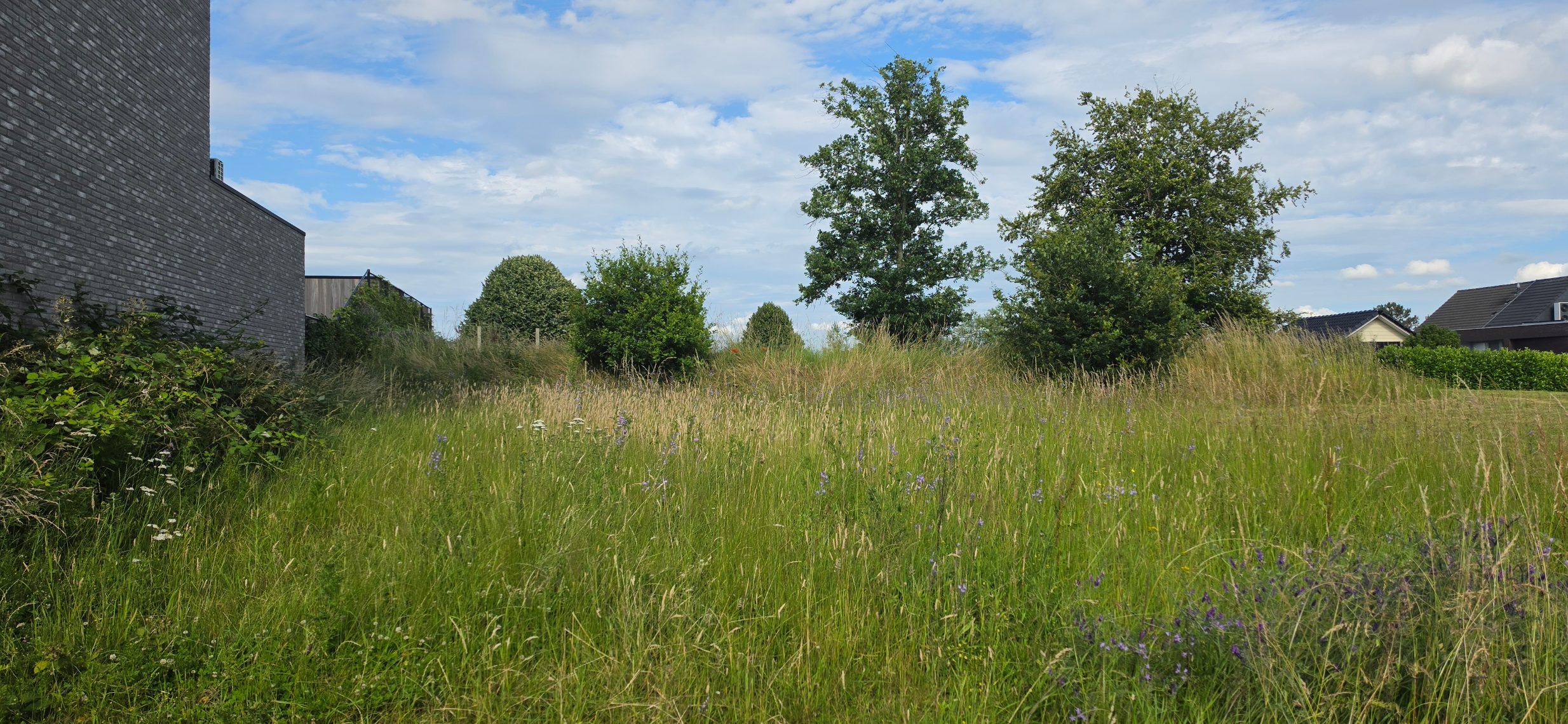 Grond te koop in Heverlee - foto 4