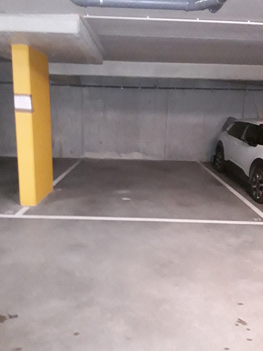 …