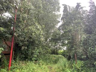 Terrain à vendre à Lint