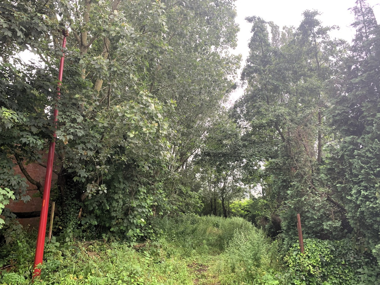 Terrain à vendre à Lint - photo 3