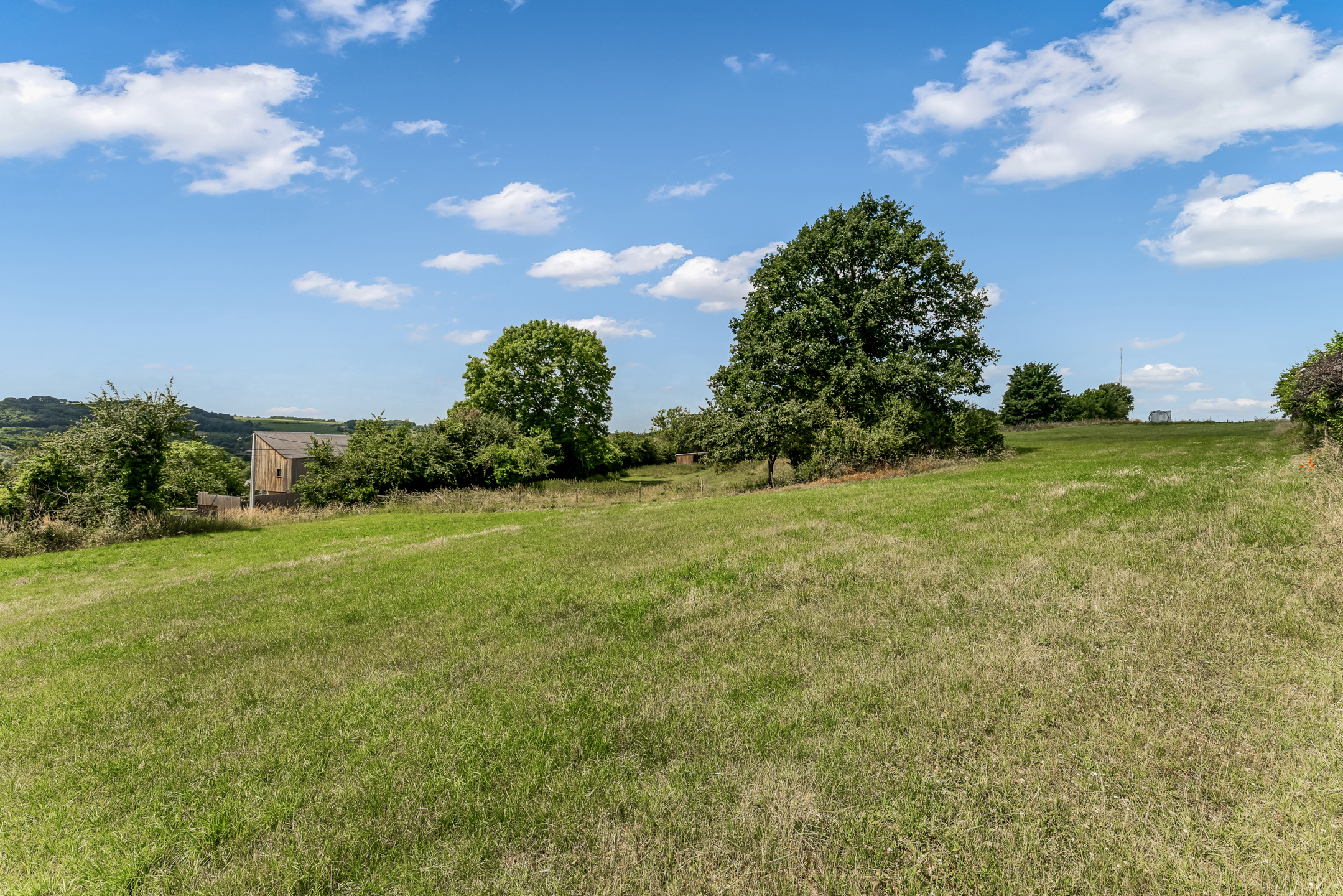 Terrain à vendre à Bassenge - photo 5