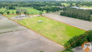 BOCHOLT - Weide met stalgebouwen op +/- 4ha35aDeze weides zijn zeer rustig gelegen langs de Stramproyerweg in Bocholt, nabij de Nederlandse grens.Op...