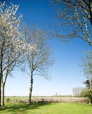 Geniet van de stilte en de rust. In de tuin achteraan in de winter geniet je van een uitgestrekt uitzicht en in de zomer geniet je van een cosy...