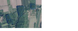 Bois de 3 ha 42 a 68 ca à vendre – situé en zone naturelleCe terrain se trouve à Hamme, dans la zone naturelle « Noubroek ».Un endroit paisible...