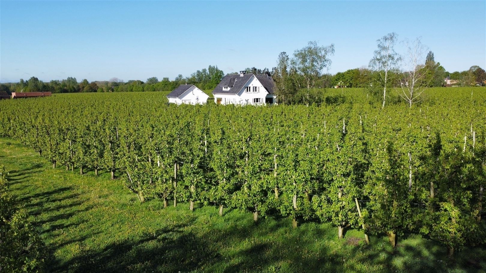 House for sale in Hasselt with 4 bedrooms - photo 2
