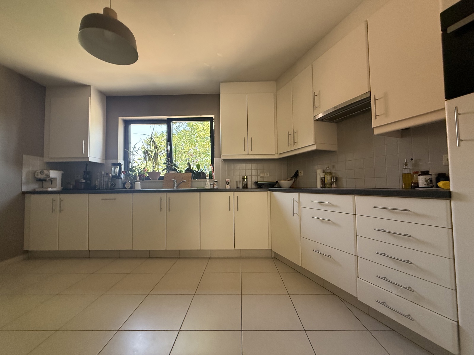 Appartement à louer à Oud-Heverlee avec 3 chambres - photo 5