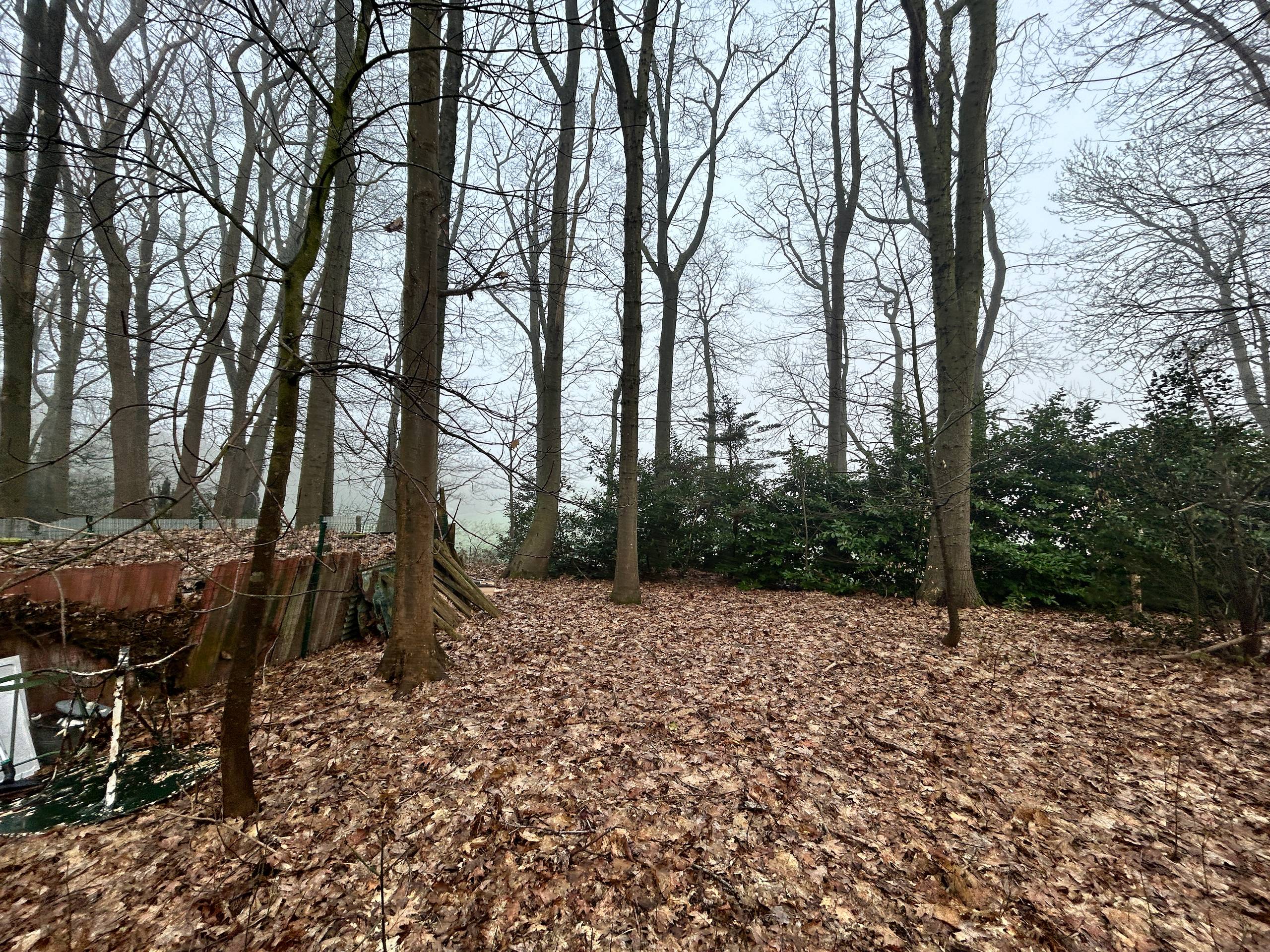 Te koop: chalet in de Nonnebossen - foto 4